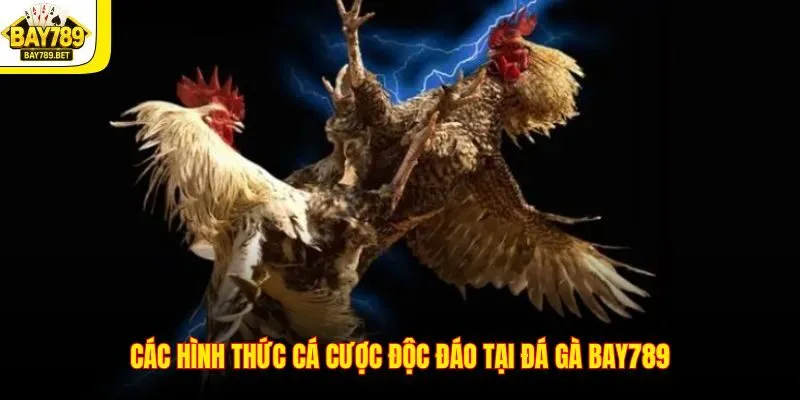 Các hình thức cá cược độc đáo tại đá gà BAY789