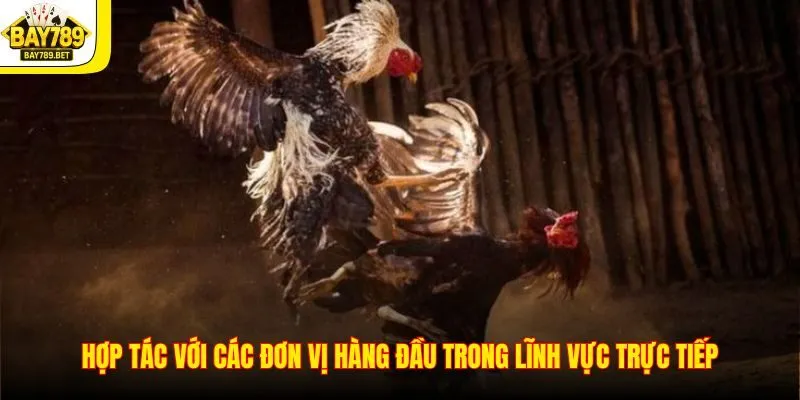 Hợp tác với các đơn vị hàng đầu trong lĩnh vực trực tiếp